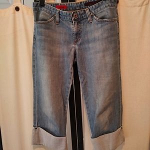 AG The Shorty size 28